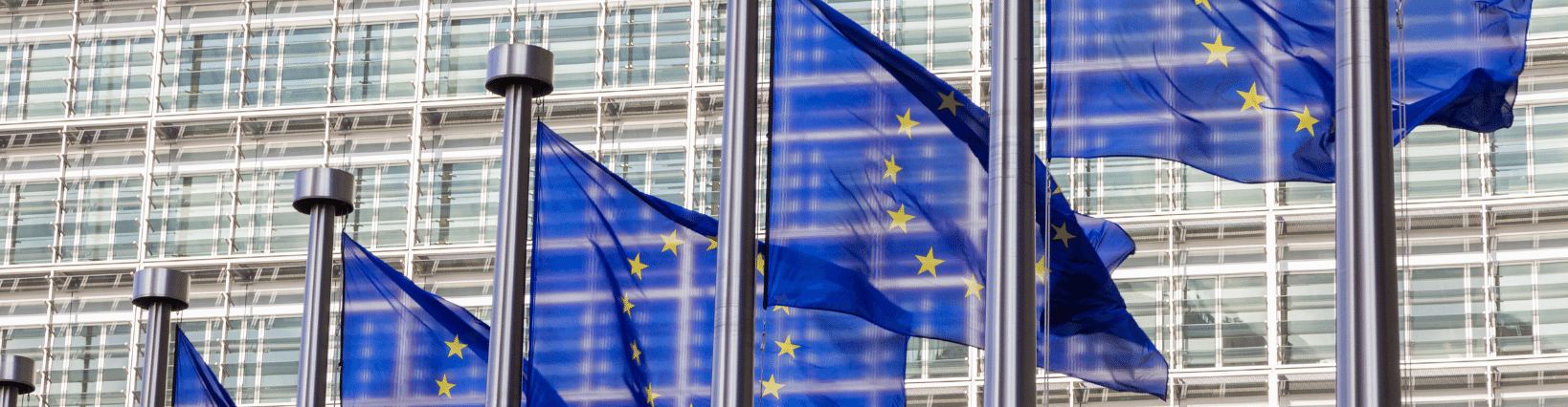 Statement on European Commission Preliminary Findings